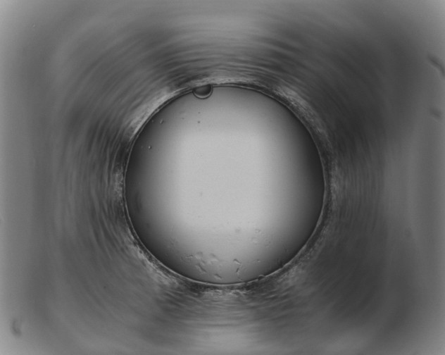 X0000103481185200809191851