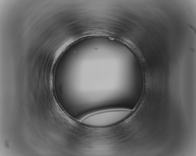X0000103481188200809191851
