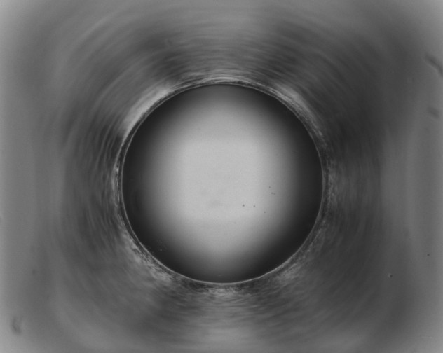 X0000103481190200809191851