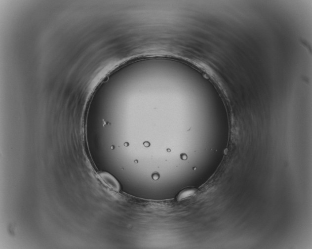X0000103481191200809191851