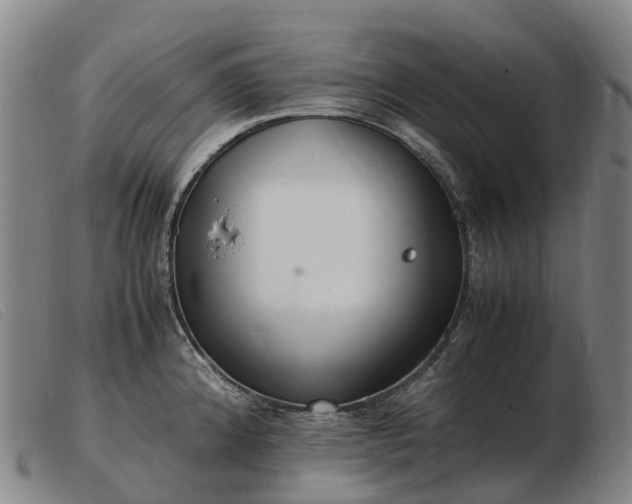 X0000103481192200809191851