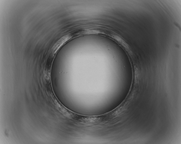 X0000103481193200809191851