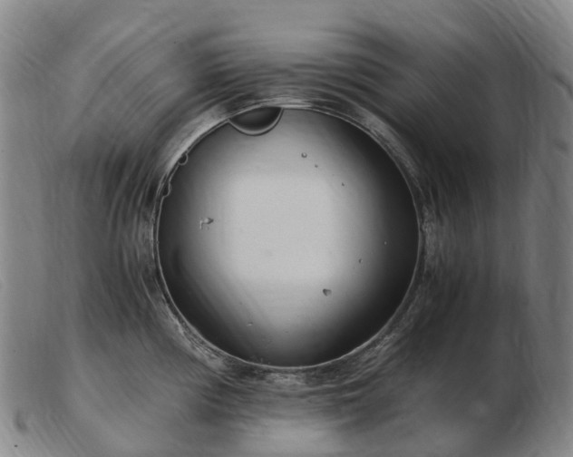 X0000103481194200809191851