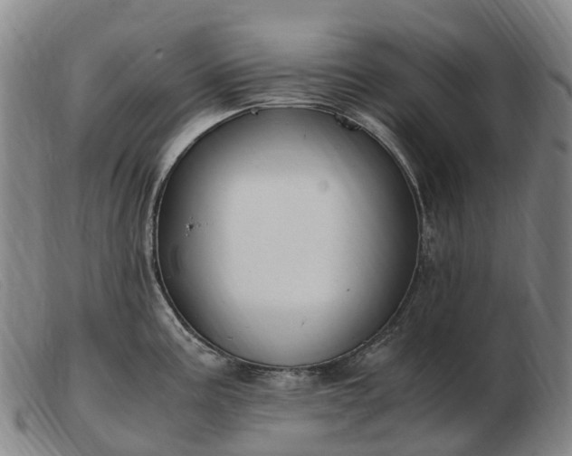 X0000103481195200809191851