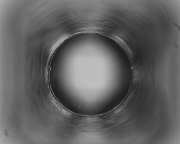 X0000103481196200809191851