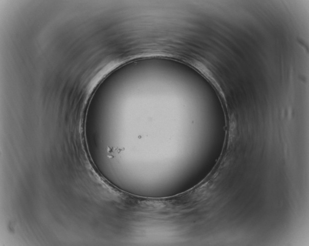 X0000103481197200809191851