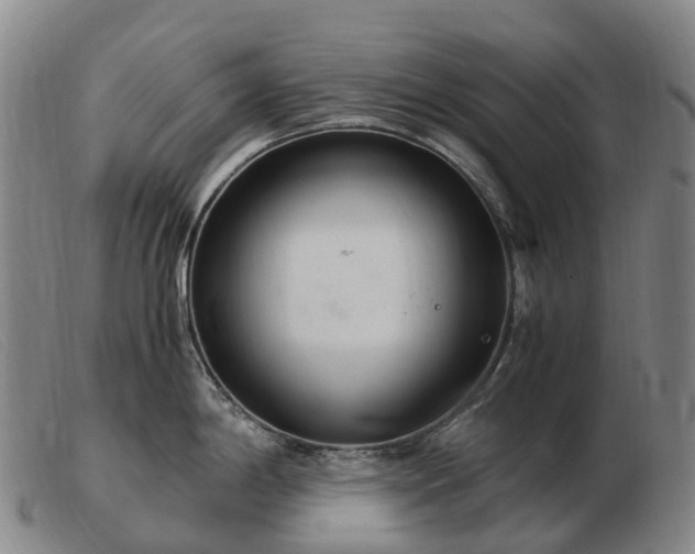 X0000103481198200809191851