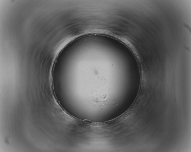 X0000103481199200809191851