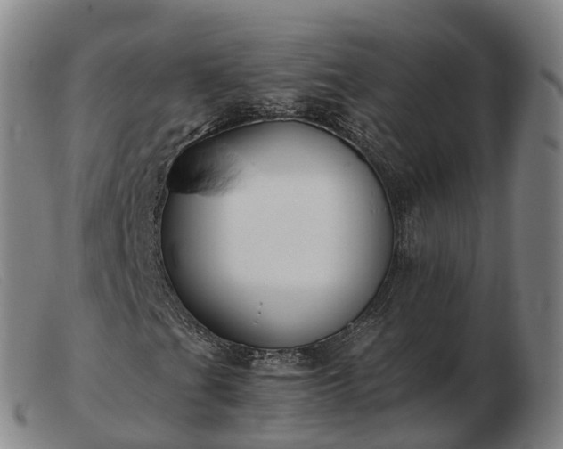 X0000103481201200809191851