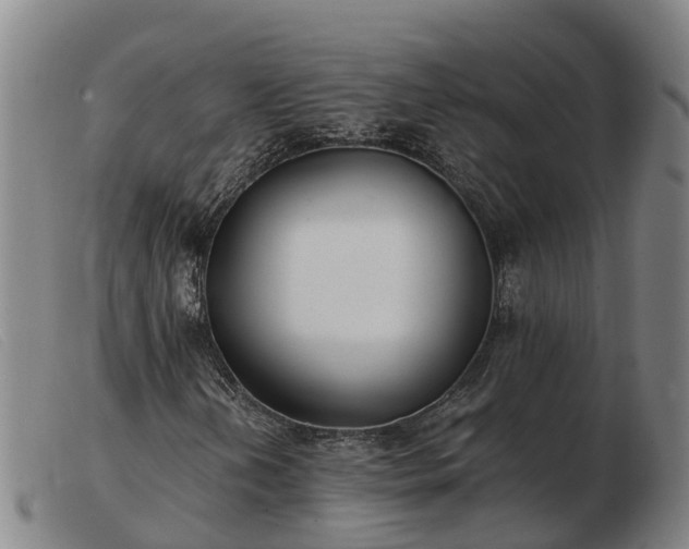 X0000103481202200809191851