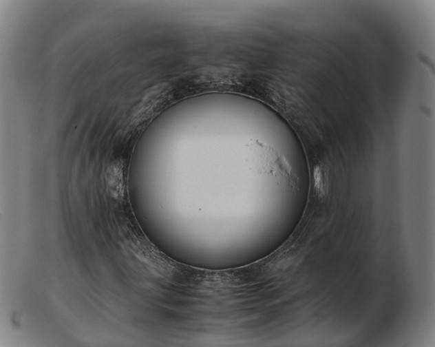 X0000103481203200809191851