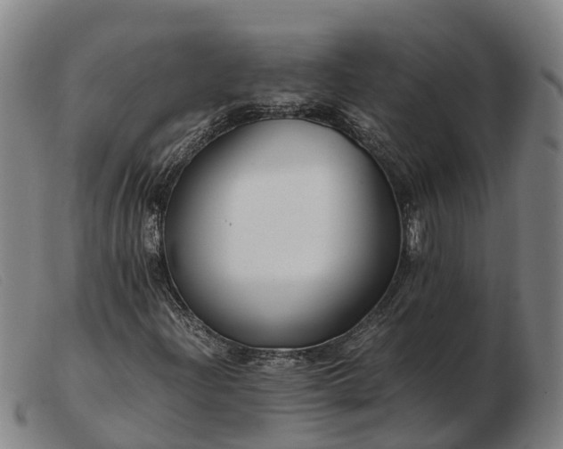 X0000103481204200809191851