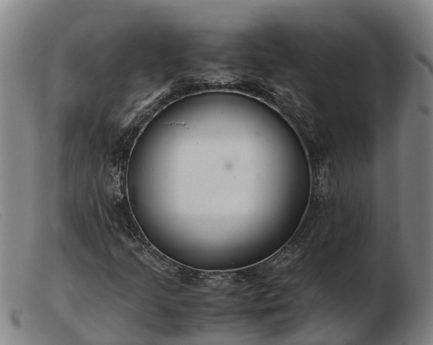 X0000103481205200809191851