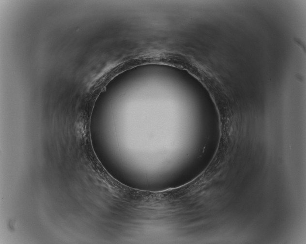 X0000103481206200809191851