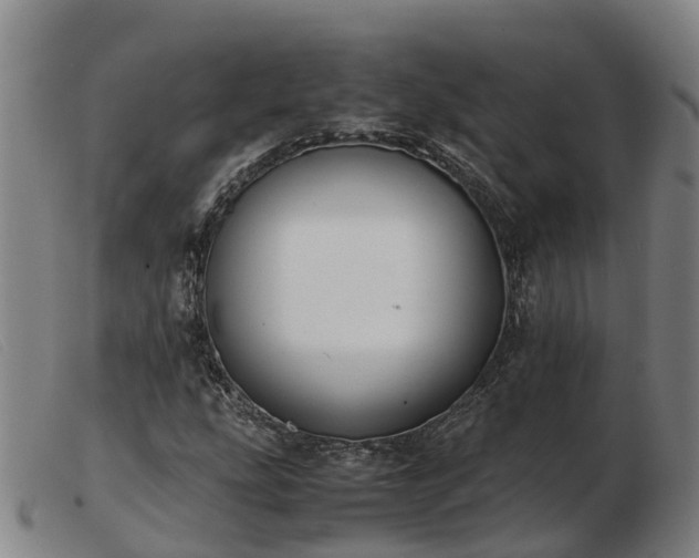 X0000103481207200809191851