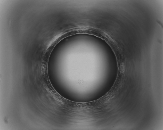X0000103481208200809191851