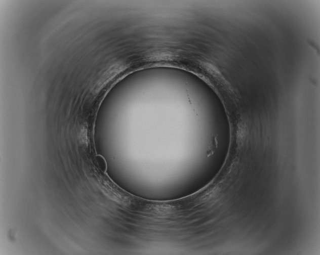 X0000103481209200809191851