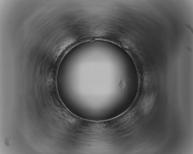 X0000103481210200809191851