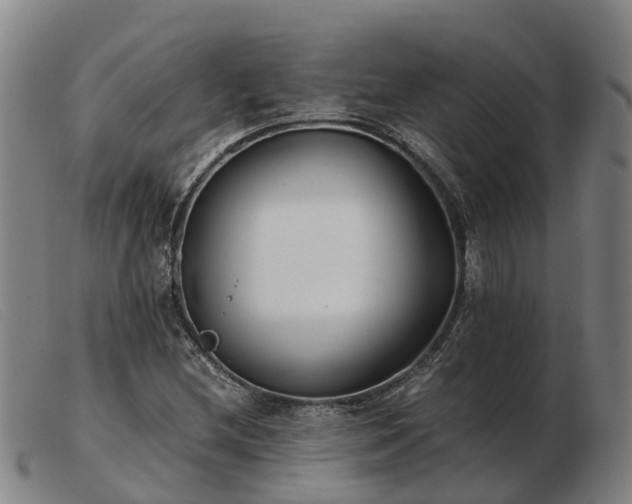 X0000103481212200809191851