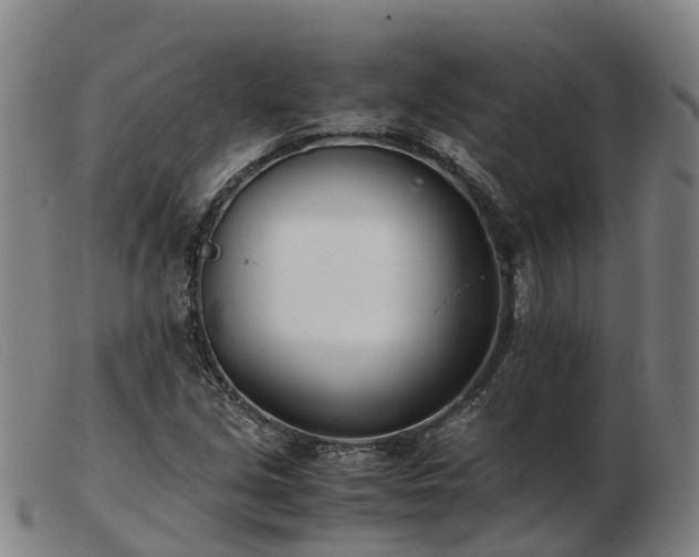 X0000103481213200809191851