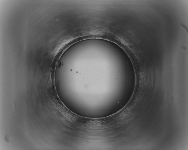 X0000103481214200809191851