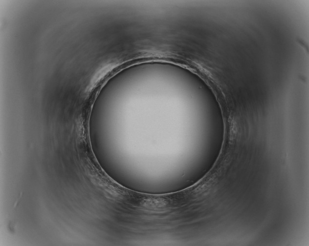 X0000103481215200809191851