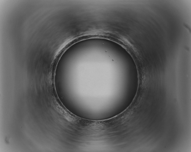 X0000103481216200809191851