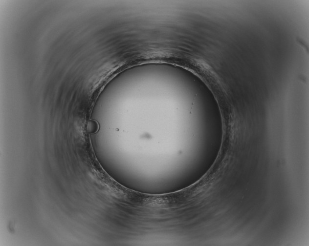 X0000103481217200809191851