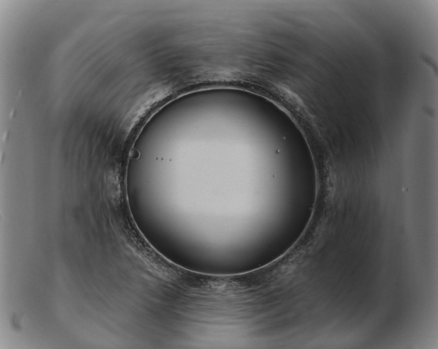 X0000103481218200809191851