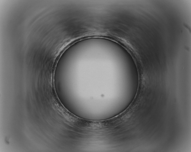 X0000103481220200809191851