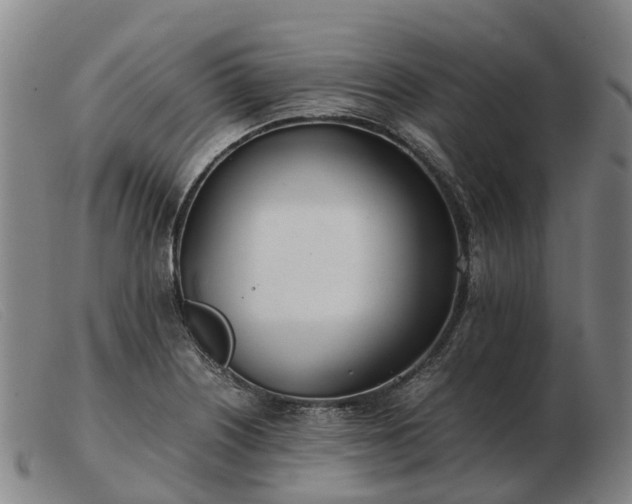 X0000103481226200809191851
