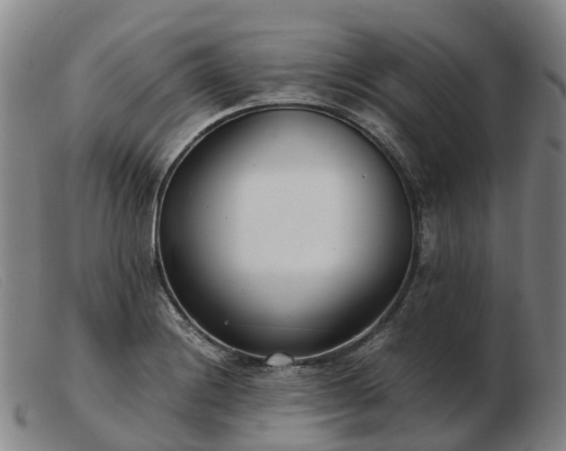 X0000103481228200809191851