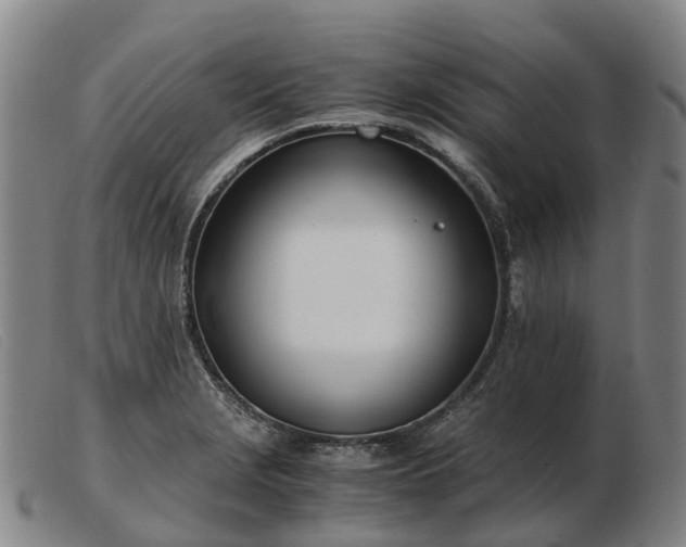 X0000103481229200809191851
