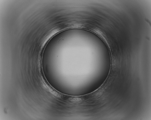 X0000103481235200809191851