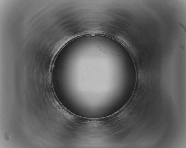 X0000103481236200809191851