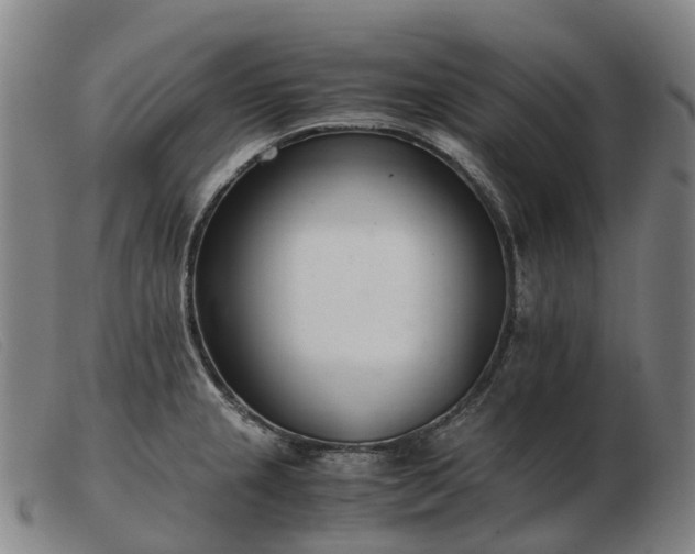 X0000103481237200809191851