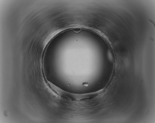 X0000103481239200809191851