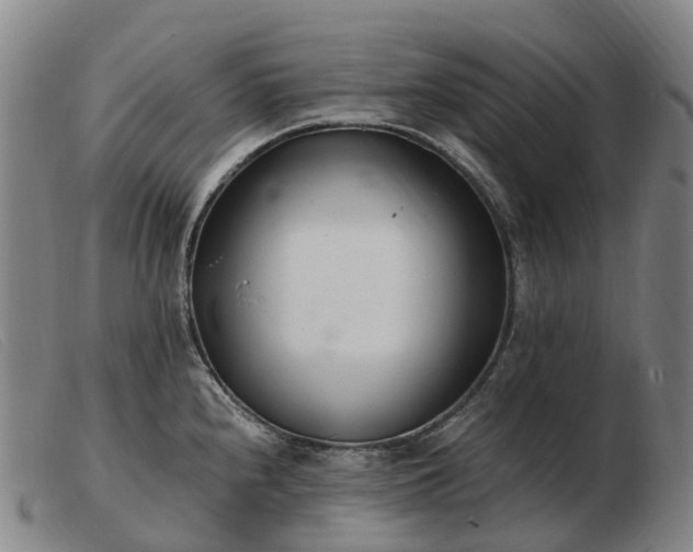X0000103481240200809191851