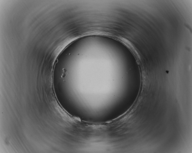 X0000103481244200809191851