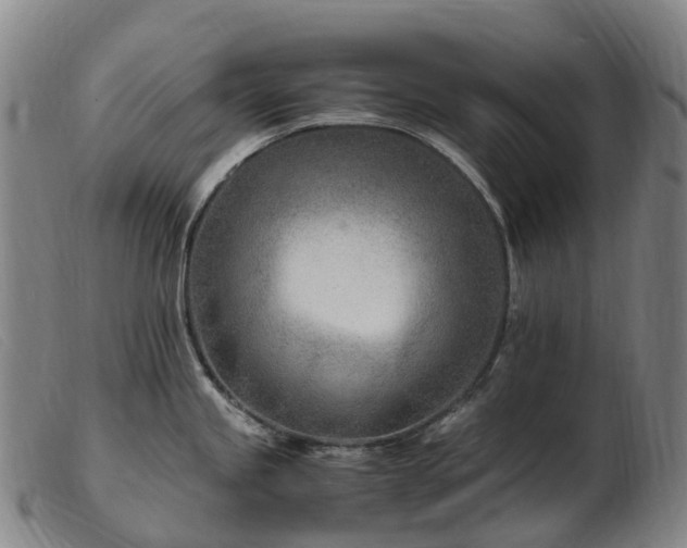 X0000103481245200809191851