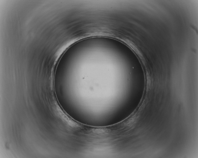 X0000103481246200809191851