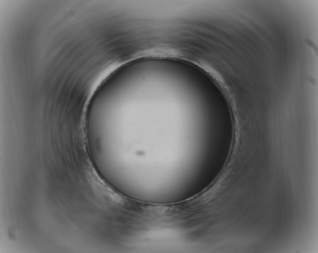 X0000103481248200809191851