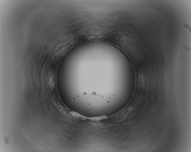 X0000103481250200809191851