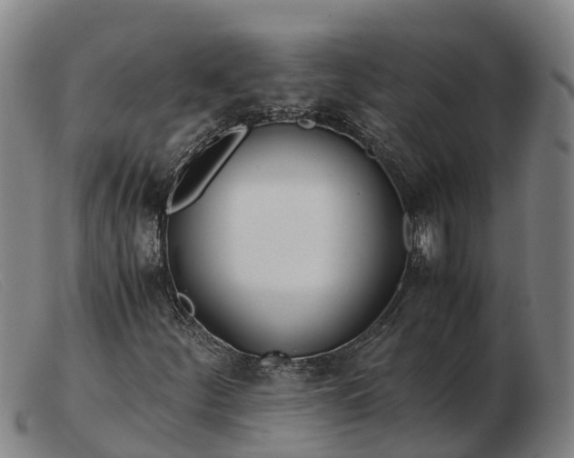X0000103481252200809191851