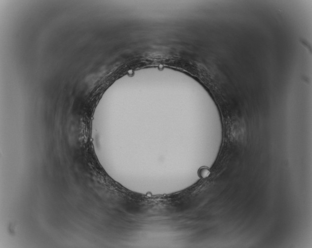 X0000103481253200809191850