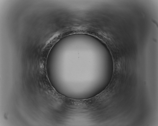X0000103481254200809191850