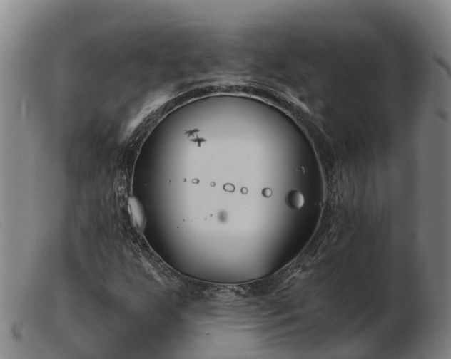 X0000103481255200809191850
