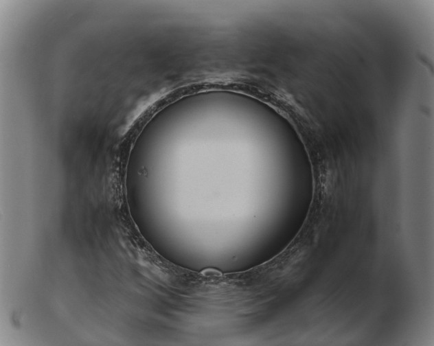 X0000103481256200809191850