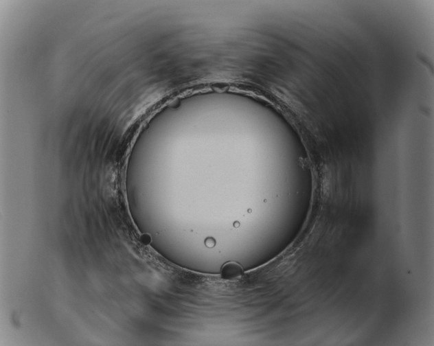 X0000103481258200809191850