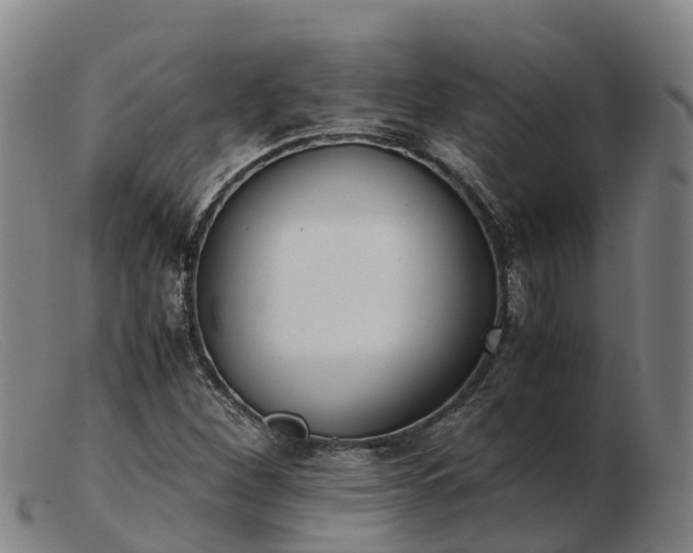 X0000103481260200809191850